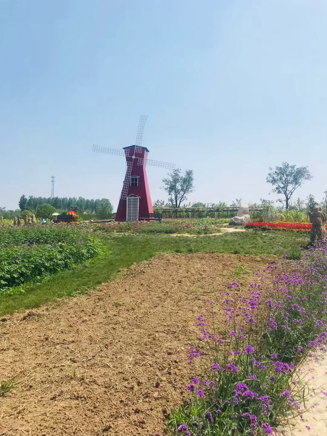 同心花海风景区,春光无限好旅游观光