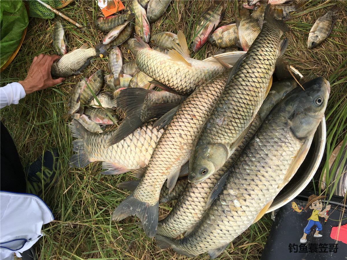 钓鱼技巧野外夜钓的三个选位技巧,钓鱼技巧如何钓黑坑鱼儿