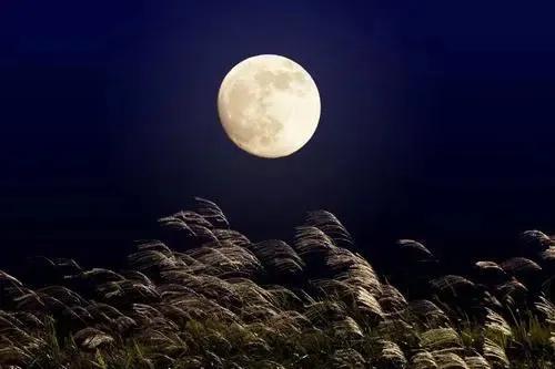 中秋节的由来和习俗和传说幼儿园,中秋节的由来和习俗