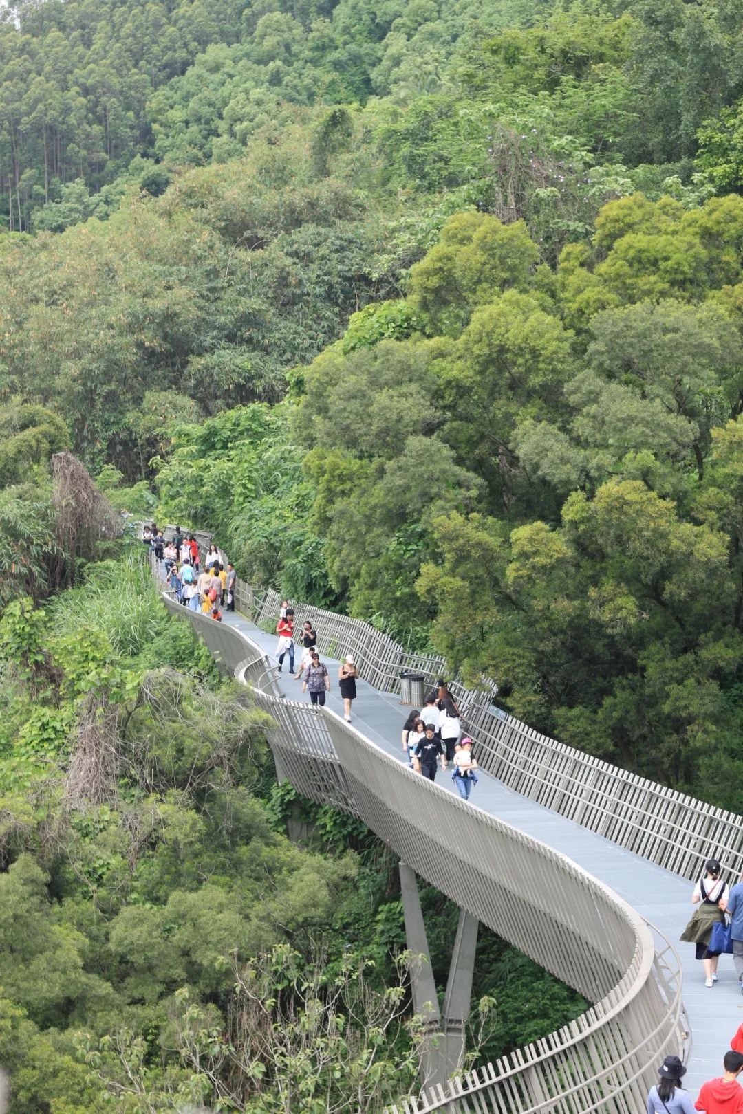 没有存在感的省叫什么,没存在感的省份