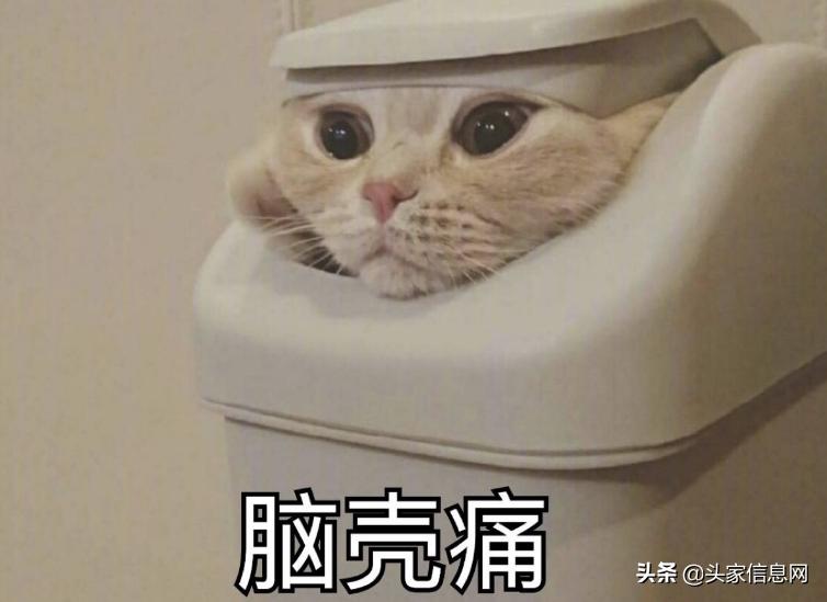 毕设开题答辩ppt,毕设答辩ppt重要吗