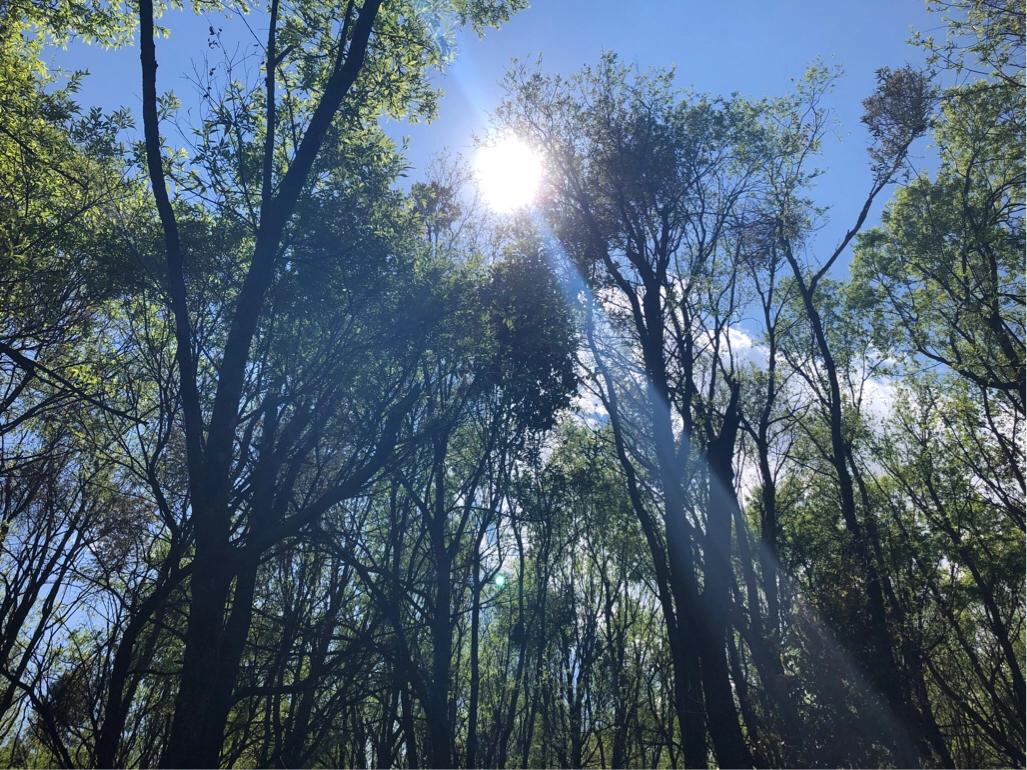 大理环海西路有哪些景点,你向往去的地方