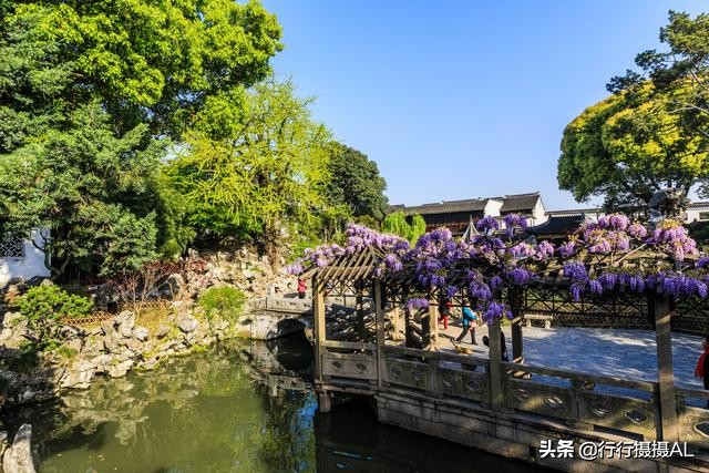 苏州园林狮子林附近,苏州园林之狮子林赏析