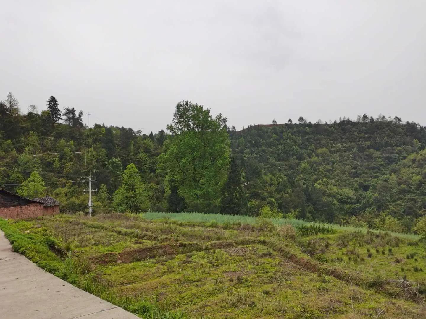 一封家书敬爱的祖母,我敬爱的祖母图片