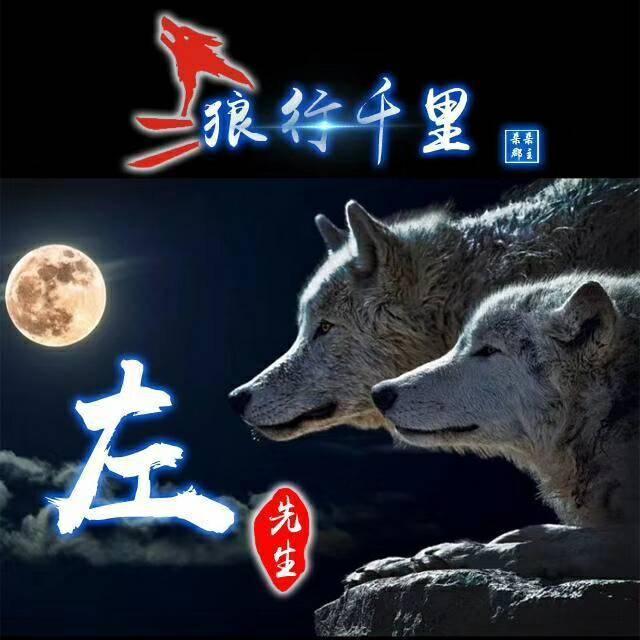 狼励志微信头像,狼的微信头像励志