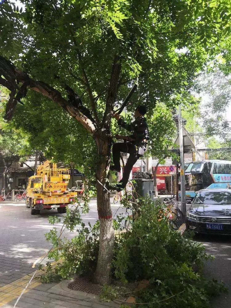 战高温斗酷暑坚守一线工地,战高温斗酷暑坚守一线照片