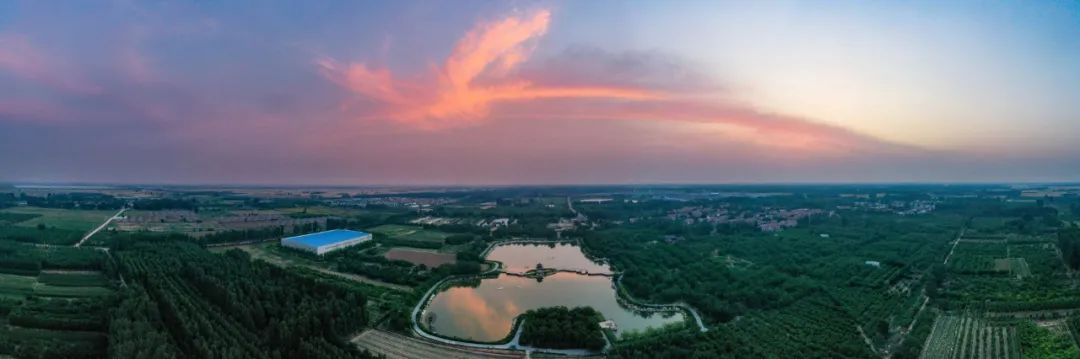 夏津东方紫桑文化博物馆暨酒庄项目举行奠基仪式