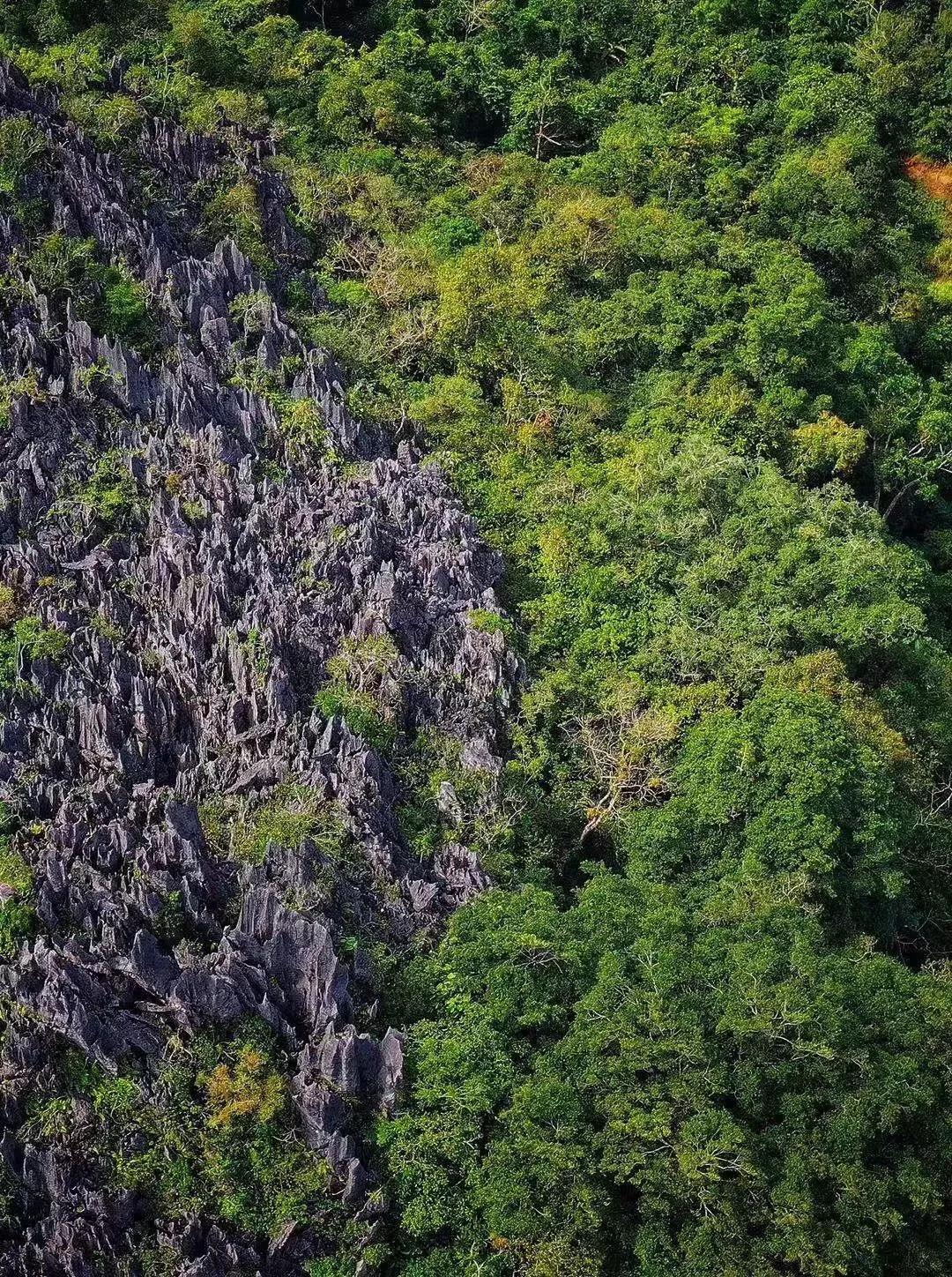 北纬18°海南,北纬十八度保亭