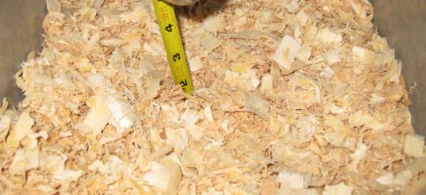 天气冷怎样给鹦鹉保暖,气温零下鹦鹉怎么办