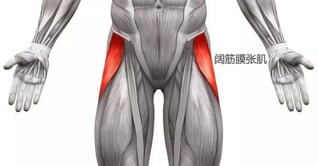 改善扁平臀提升臀线训练,推荐一个激活臀肌的入门级动作