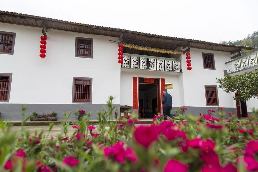 【谁不说咱家乡美】美丽中国，“乡”约万安（河西片）