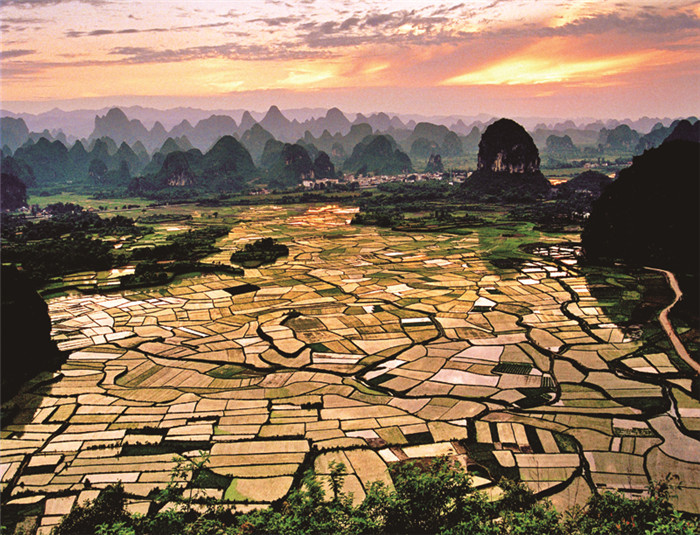 物微意不浅感动一沉吟——植物诗词隐含的生态思想及教育意义