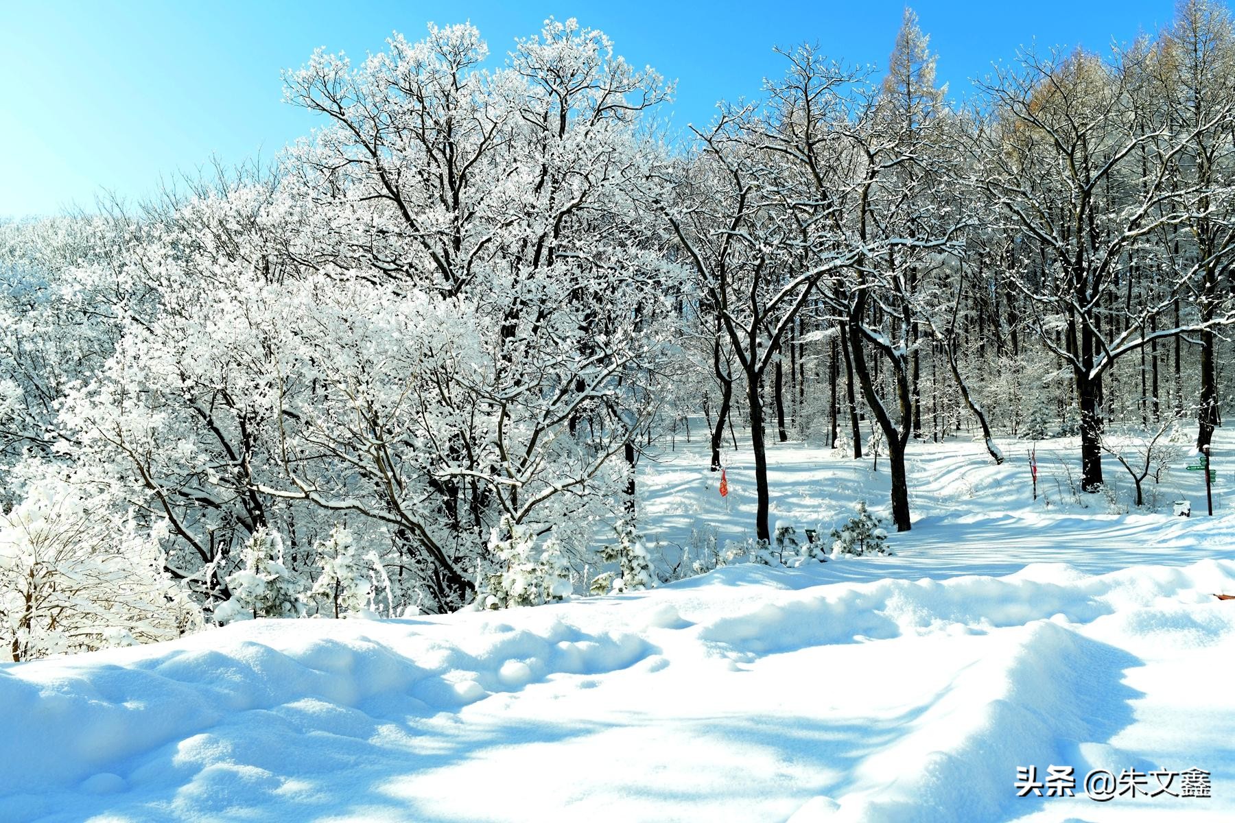 吉林柳河下雪,吉林省通化市柳河