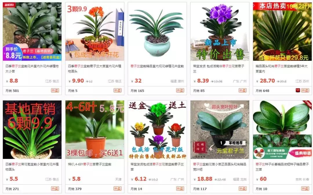 一双球鞋能卖多少万,一双球鞋从1元炒到3万元