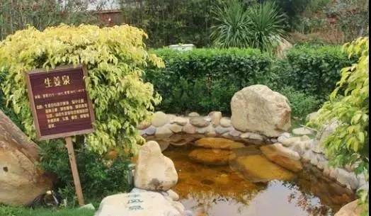 惠州怡情谷泡温泉住宿,惠州怡情谷温泉酒店二天一晚