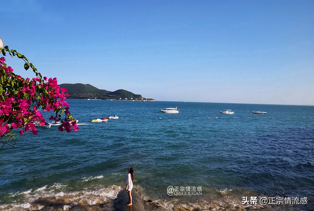 芽庄印象｜|想说爱你不容易