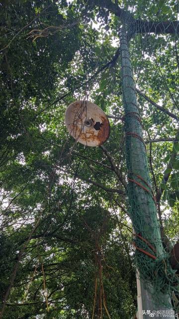 大一社恐怎么自我介绍,社恐内向怯场自卑怎么自我介绍