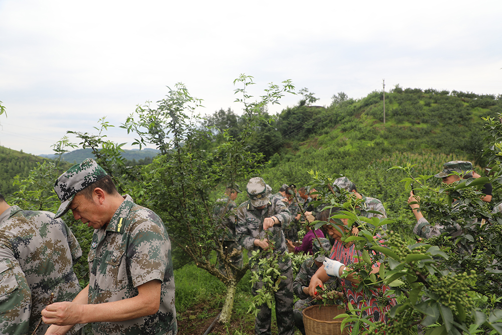 重庆万州双拥模范城,军民团结一家亲同心共筑中国梦