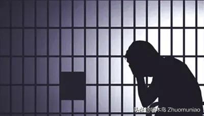 扎根贫困县十年的县委书记 (扶贫山区县委书记)