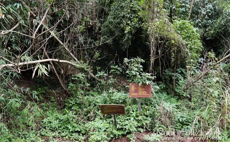 北碚复兴镇最近的视频,重庆市北碚龙门桥