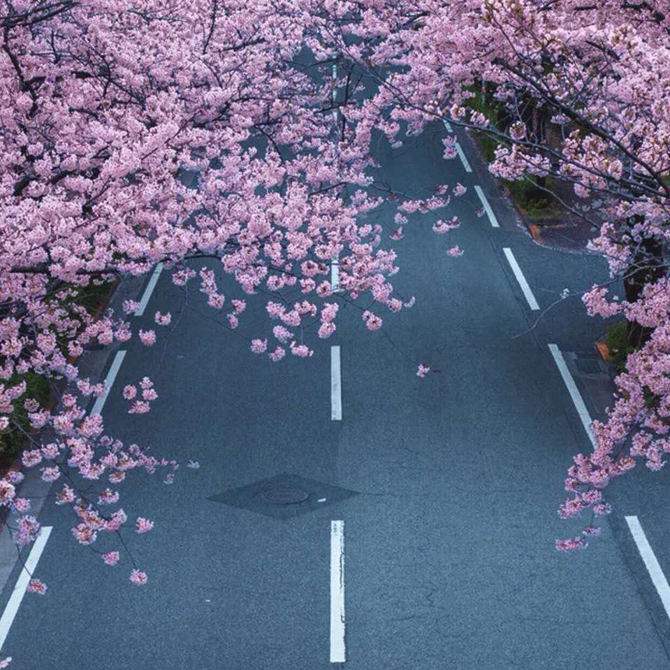 无线网没法上网故障排查,无线网常见问题及修复