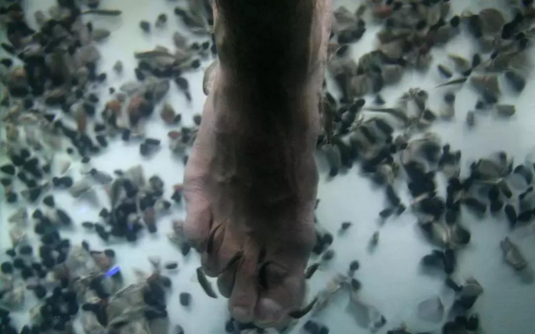 袜子裤头可以一起机洗吗,袜子裤子能一起洗吗