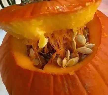 瓜子仁可以补肾,瓜子补肾精