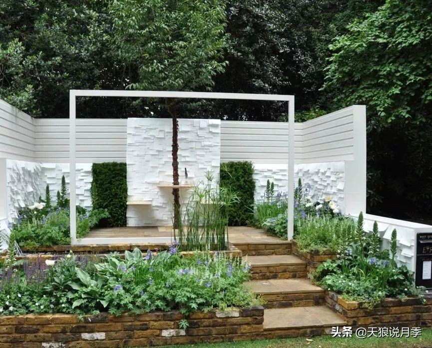 天狼月季优惠活动时间,天狼月季618活动