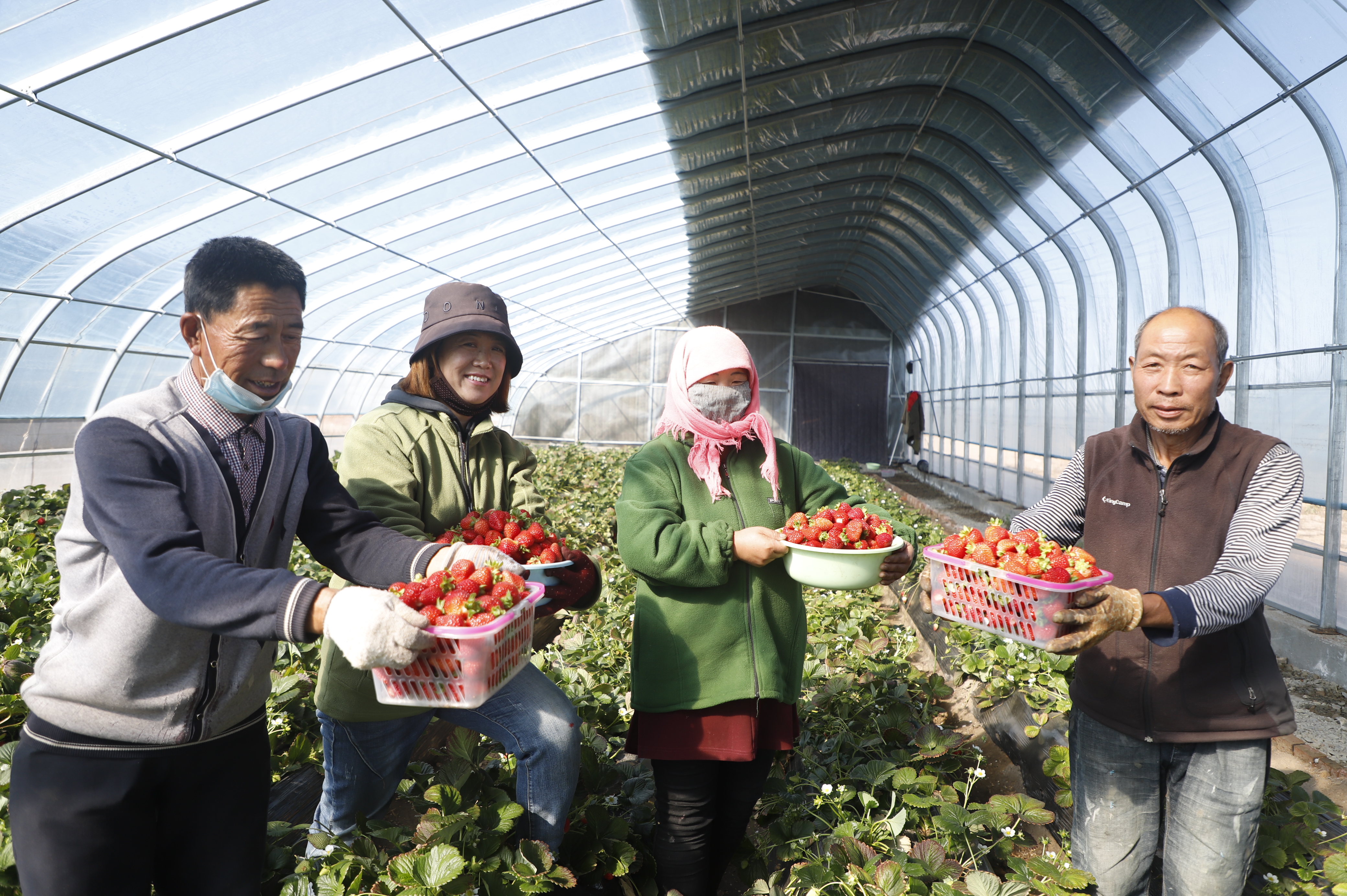 村级脱贫人口增收案例,村集体增收致富情况