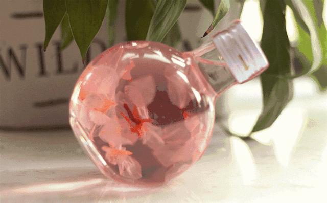 各种樱花美食大全,樱花美食视频全集