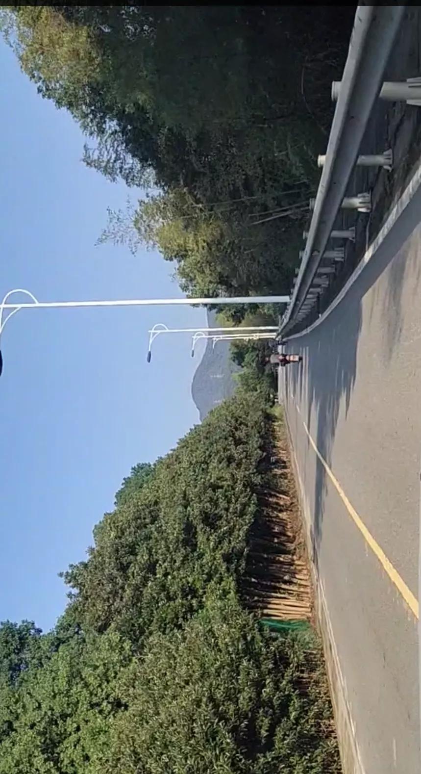 宁波镇海钓鱼野钓最新地点,宁波九龙湖水库钓鱼攻略