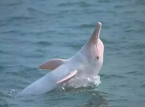 春节广西自驾,广西春节自驾旅游景点推荐