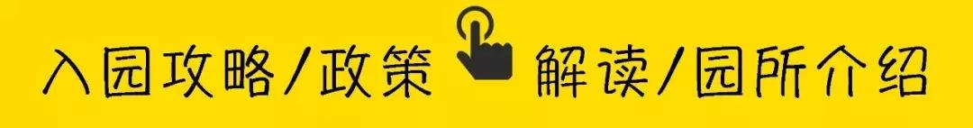 深圳普林斯顿国际幼儿园学费,深圳贝赛思国际学校幼儿园学费