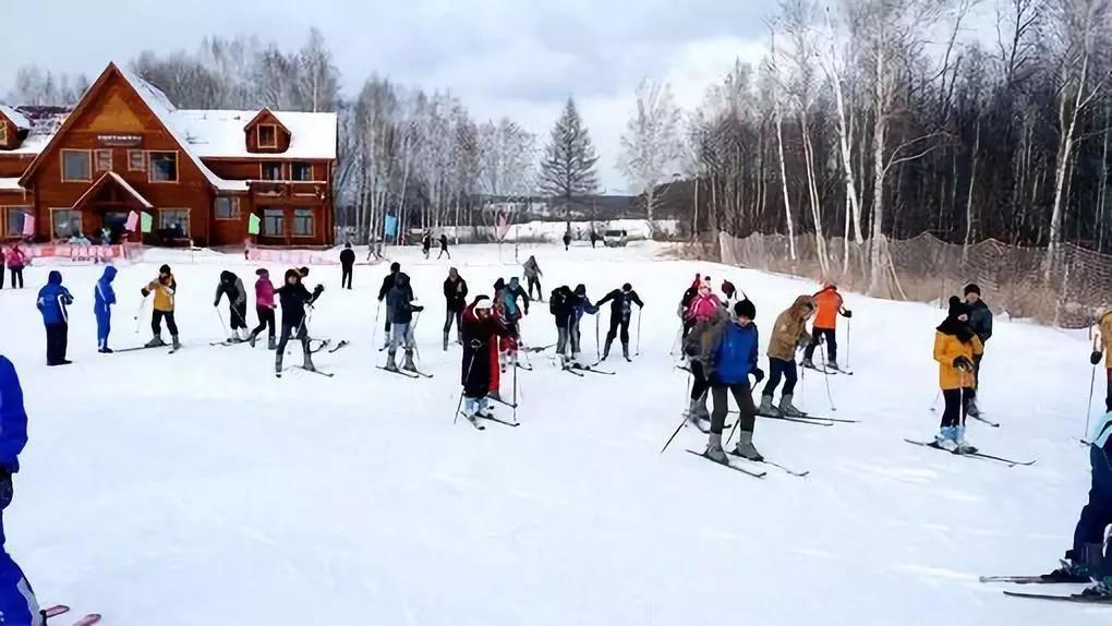 当芬兰童话遇见北欧森林：零下40℃的中国“北极”，美炸了