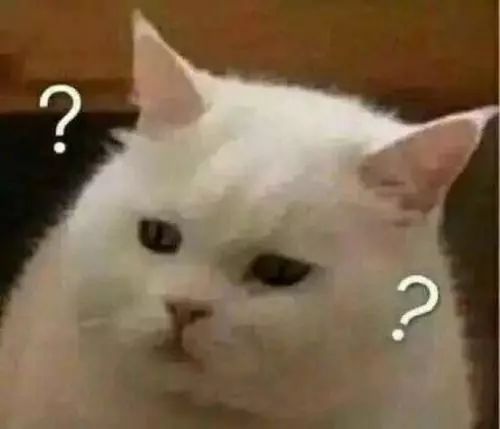 一家健身房被曝开张3个月就跑路,一健身房突停业2000多会员被坑