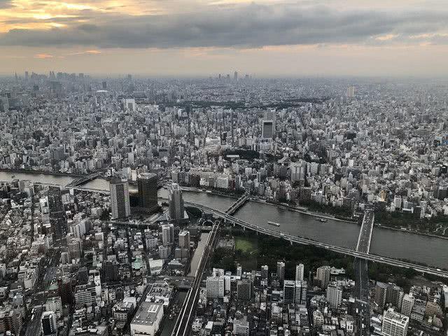 柯普时间：园子大小姐家的铃木塔你知道多少？