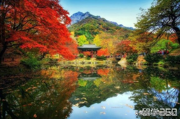 韩国低学费留学,济南韩国留学机构哪家最好