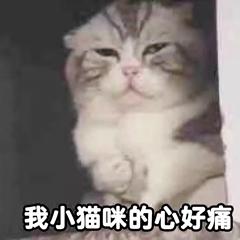 如何新建图层cad2007,cad怎么新建图层并且改变颜色