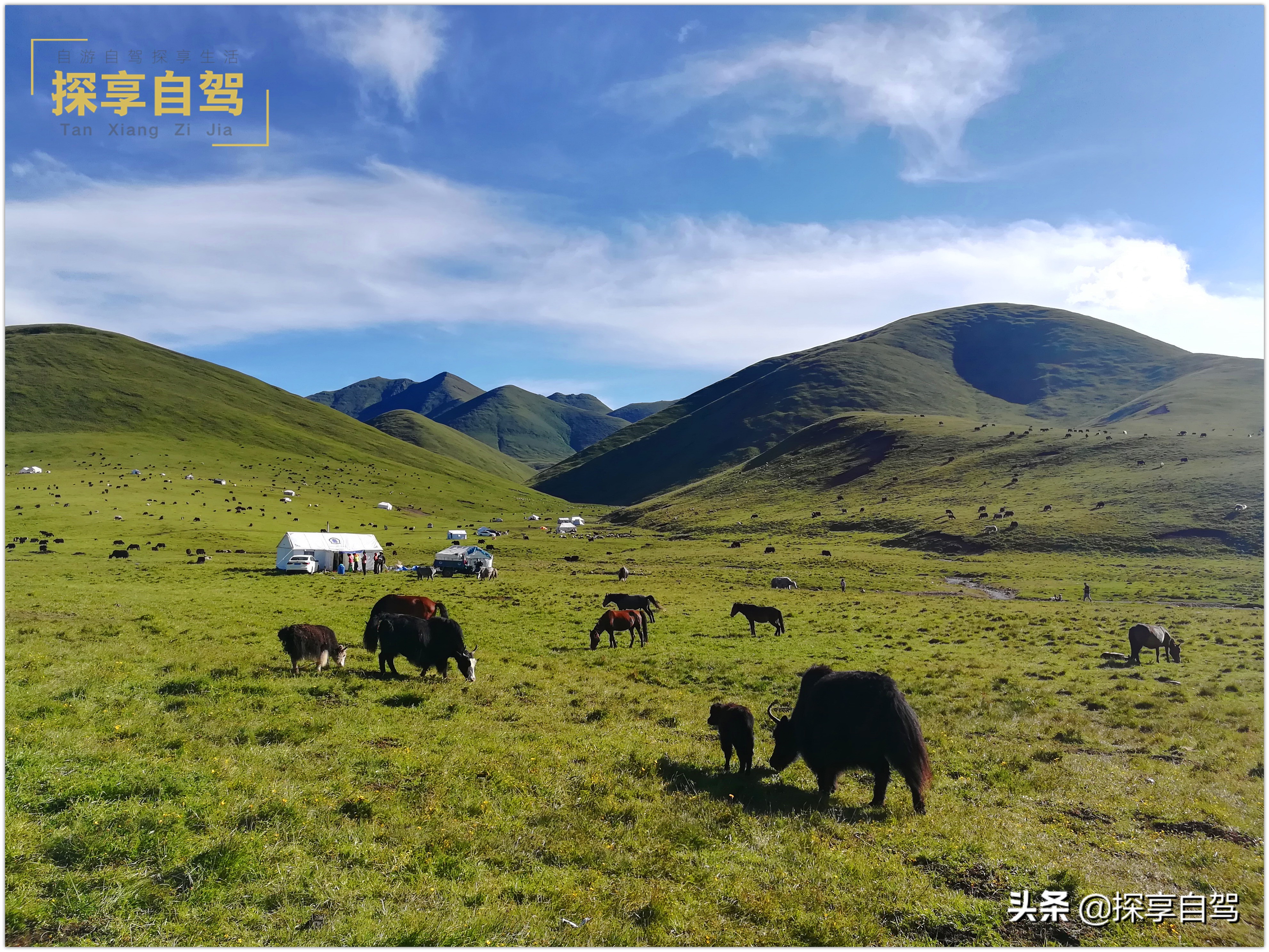 自驾游旅行社应该提供哪些项目,旅行社应当如何规避自驾游风险