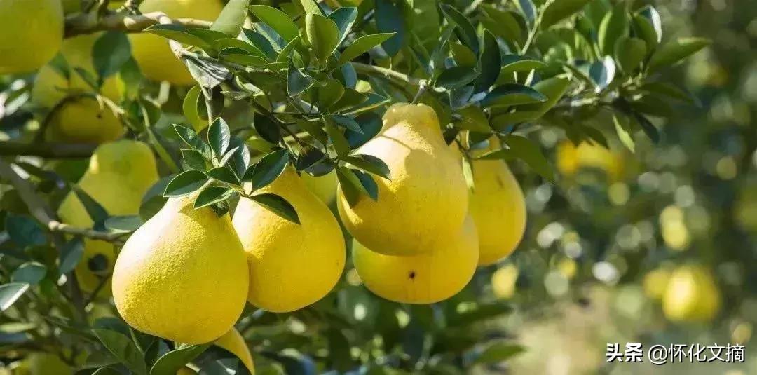 千年古苗寨老家寨全景,贵州千户苗寨农户家