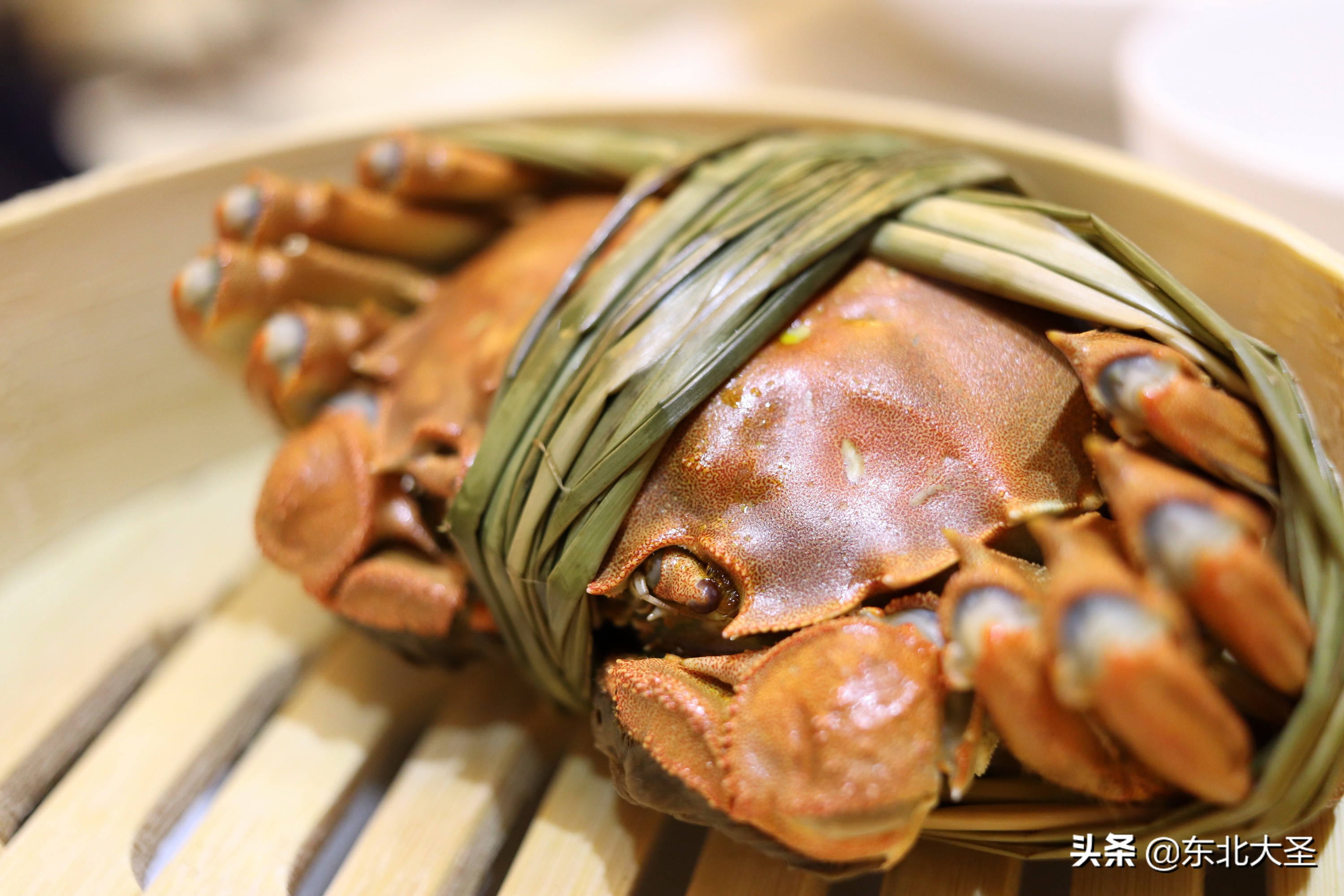 苏州杭州上海乌镇六日游含迪士尼,西湖乌镇南浔西塘三日游