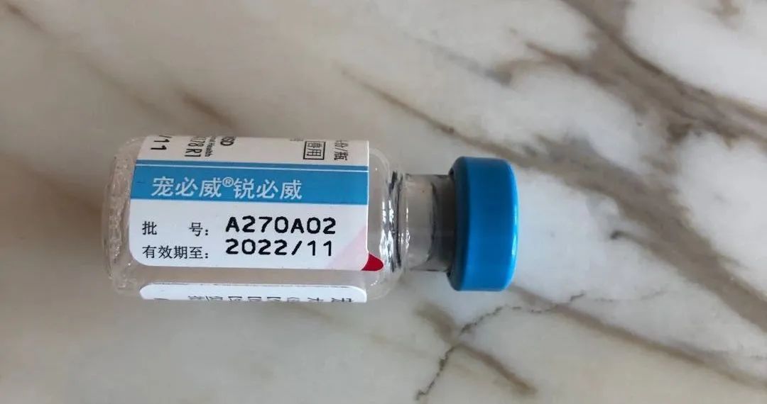 犬加强免疫注意事项,犬只免疫费用