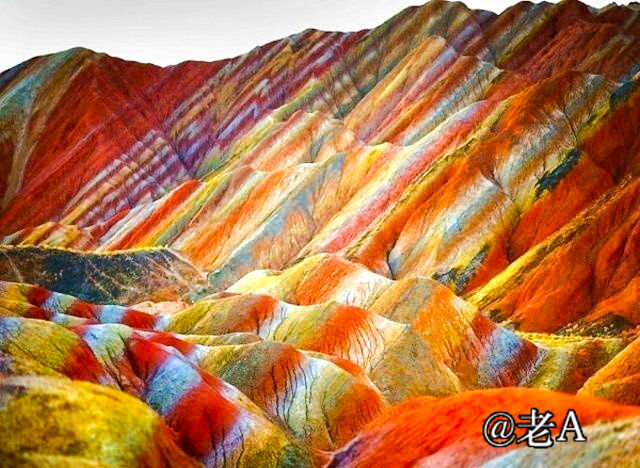 朋友们来张掖吧原视频,朋友来张掖吧