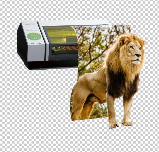 ps中如何从3d模式切换成图层模式,ps合成叠加图片3d效果