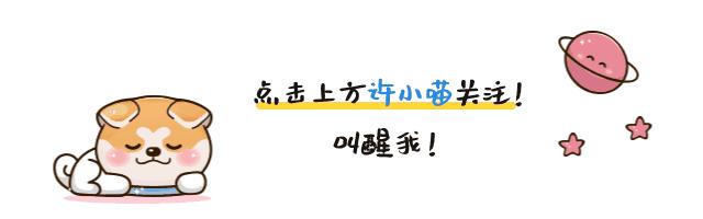 找到断货大牌平替,找遍全网的好物