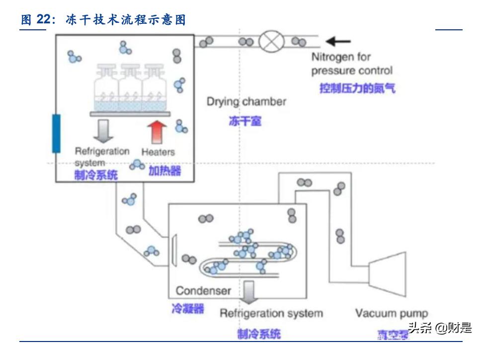 化妆品行业的现状和发展趋势图表,中国化妆品行业现状及发展趋势