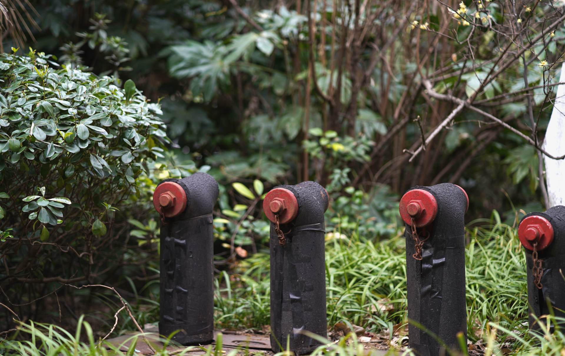 相机入坑配件,新手小白必备相机配件推荐