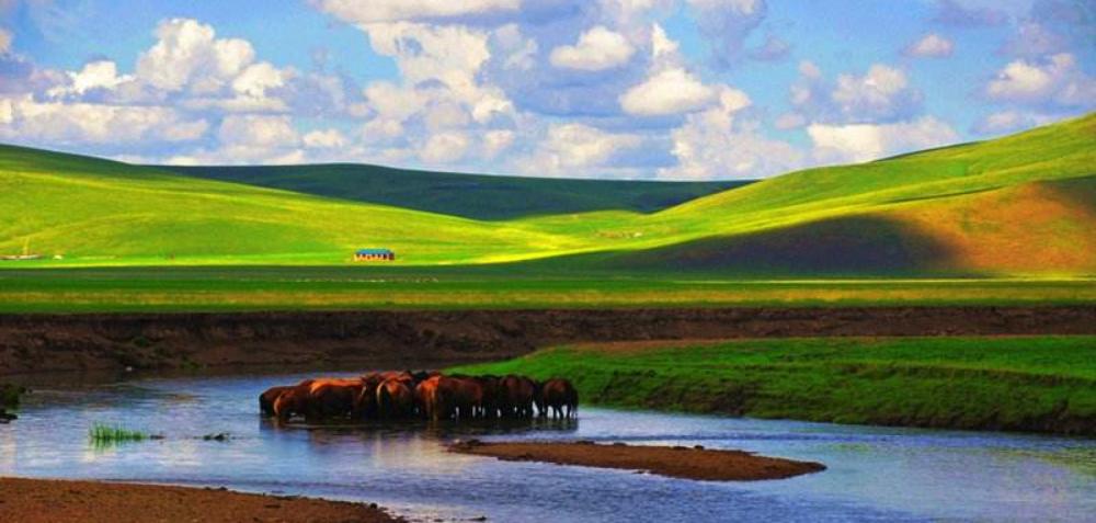 马拉多纳与阿根廷,马拉多纳与阿根廷人