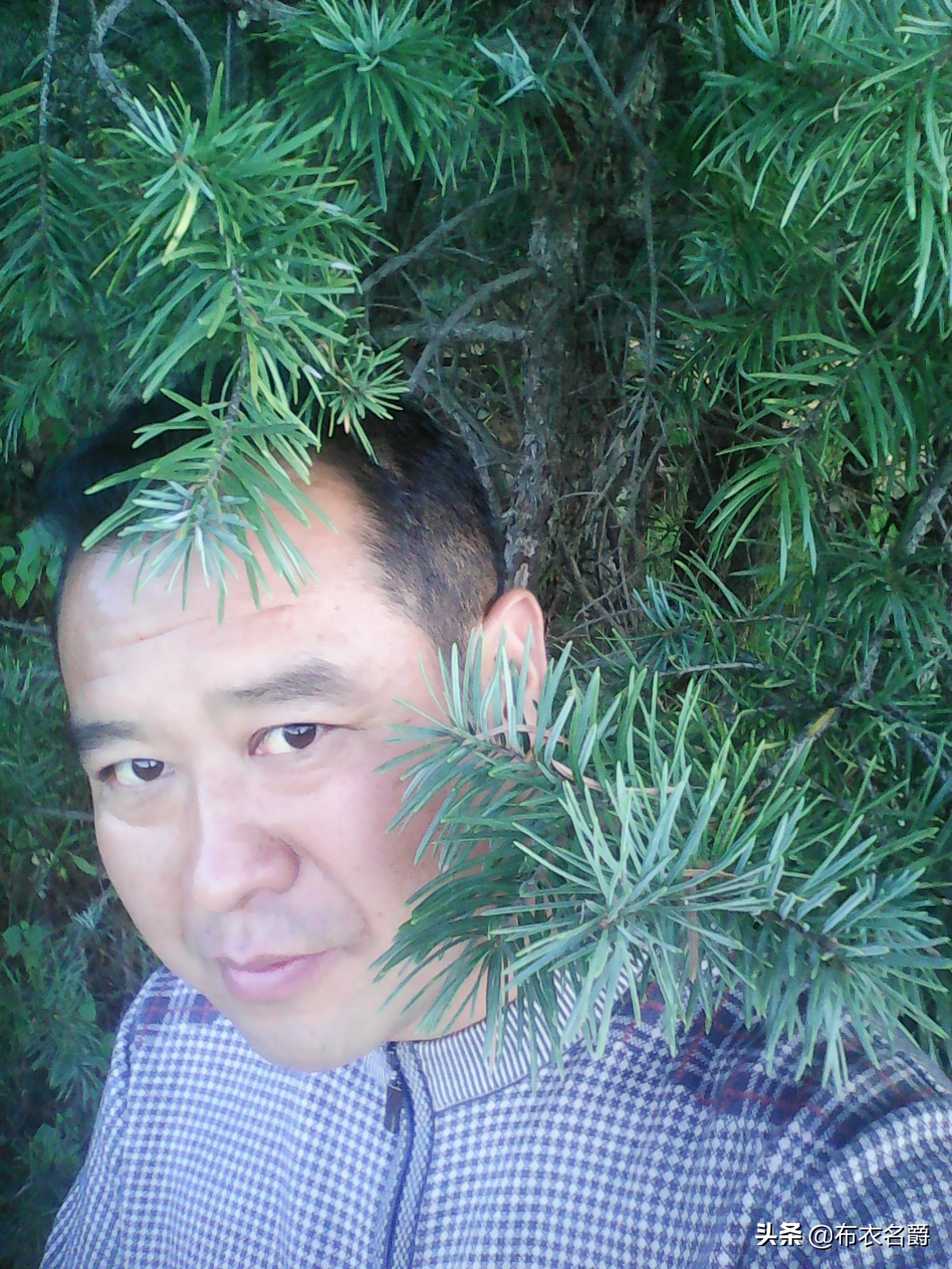 猪败血性链球菌的治疗处方,猪附红细胞体病最佳治疗