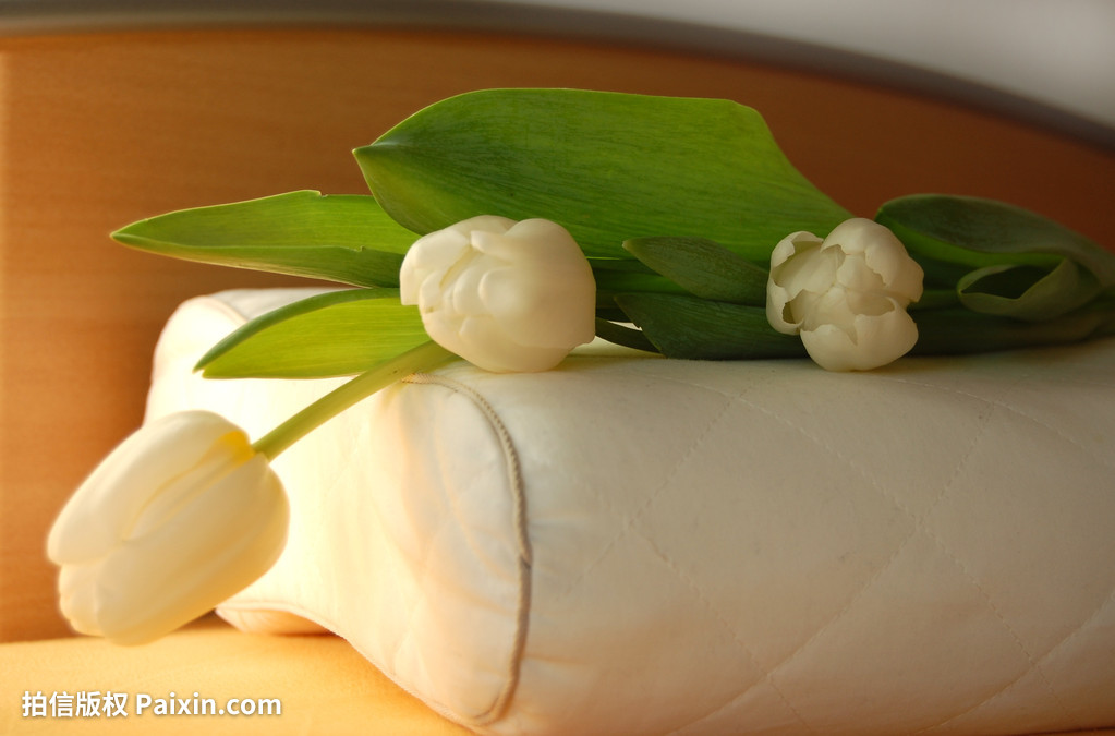 武威医科院倾力打造“10S”标准的睡眠中心助您轻松入眠，找回儿时的梦乡！